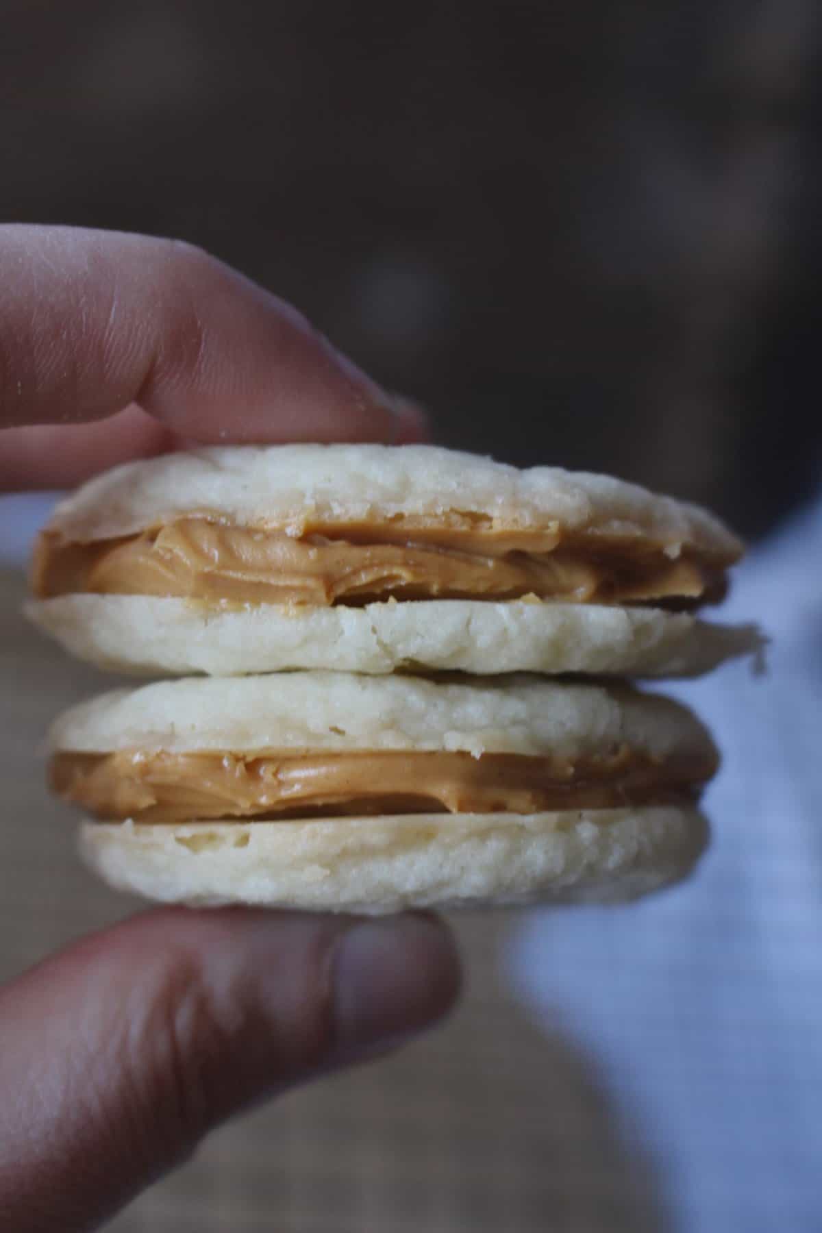 Cookie Butter Sandwich Cookies (copycat Trader Joe's) Real Food with