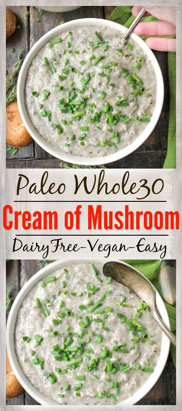 Healthy Cream of Mushroom 