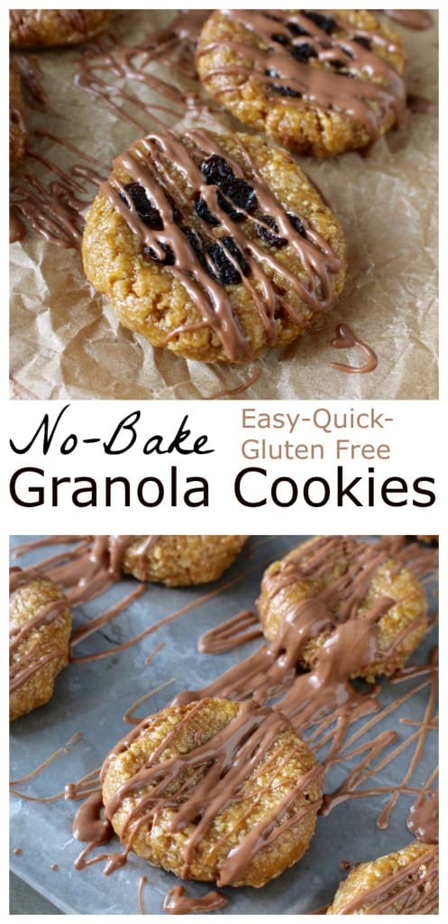 No Bake Granola Cookies