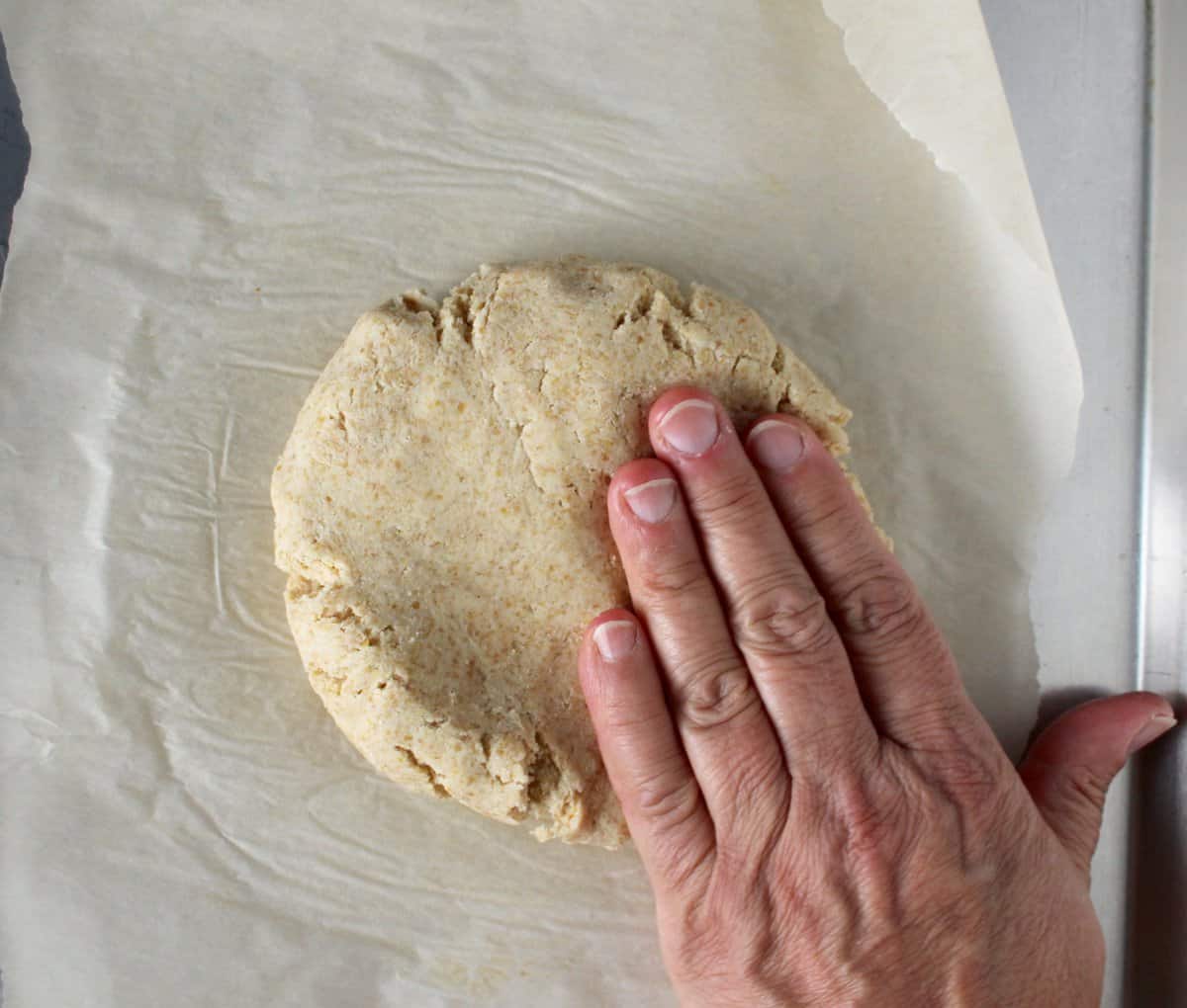 Paleo Coconut Flour Pizza Crust