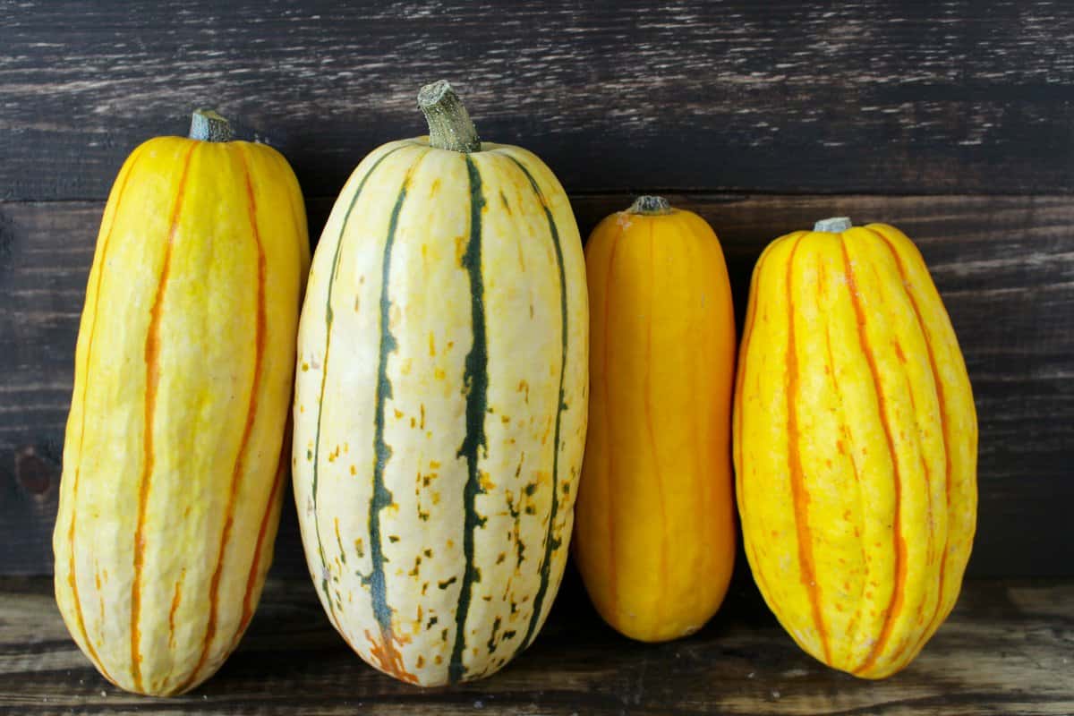 How To Cook Delicata Squash 