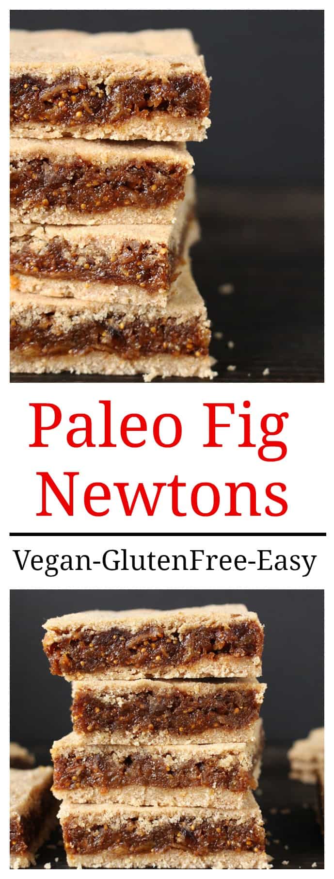 Paleo Fig Newtons 