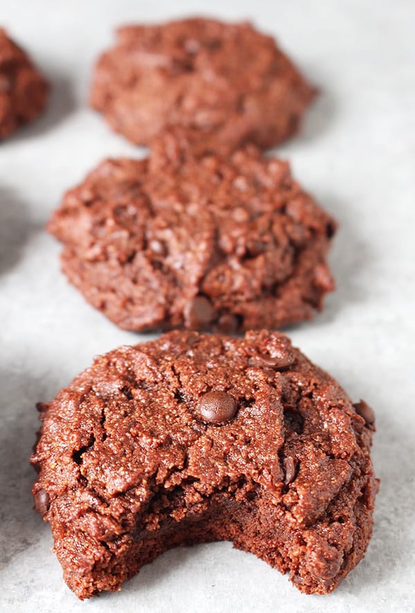 Paleo Double Chocolate Cookies 