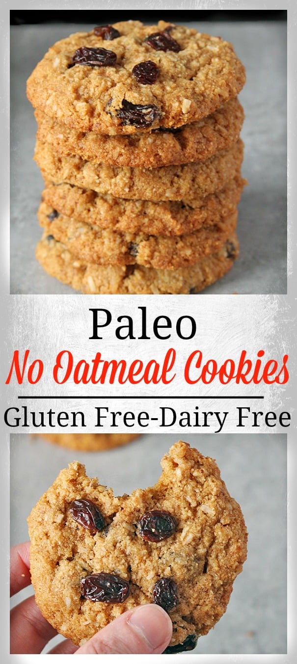 Paleo No Oatmeal Cookies