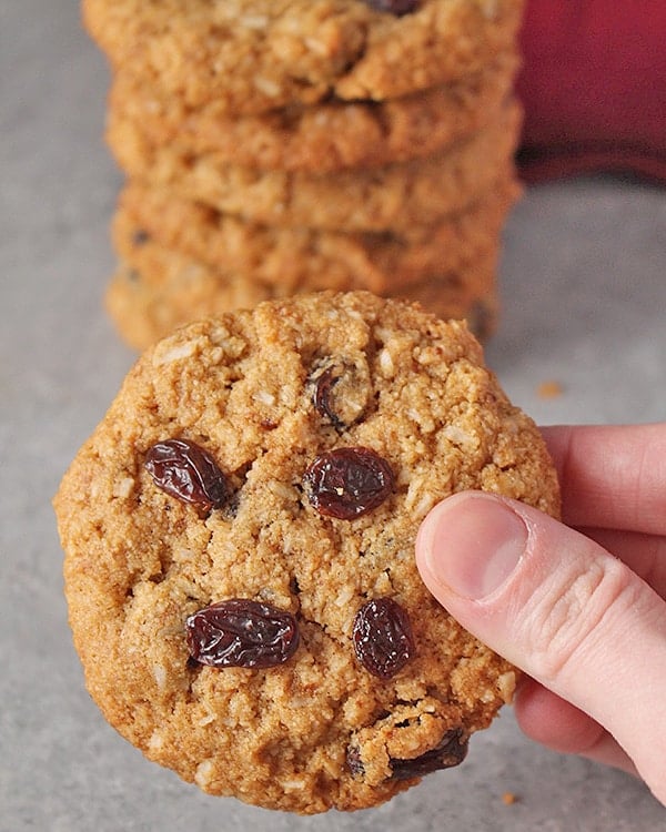 Paleo No Oatmeal Raisin Cookies