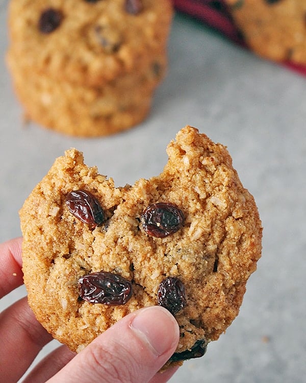 Paleo No Oatmeal Raisin Cookies