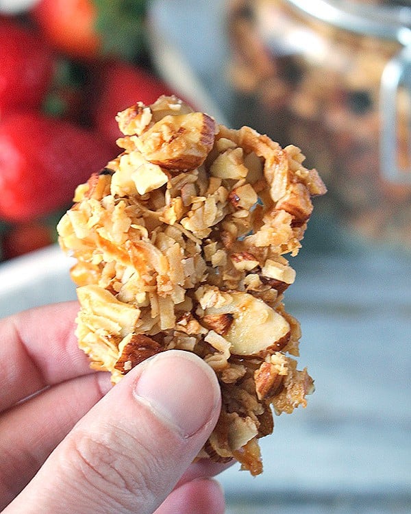 Paleo Honey Almond Granola