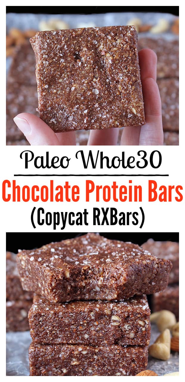 Paleo Chocolate Protein Bars (Copycat RXBars)