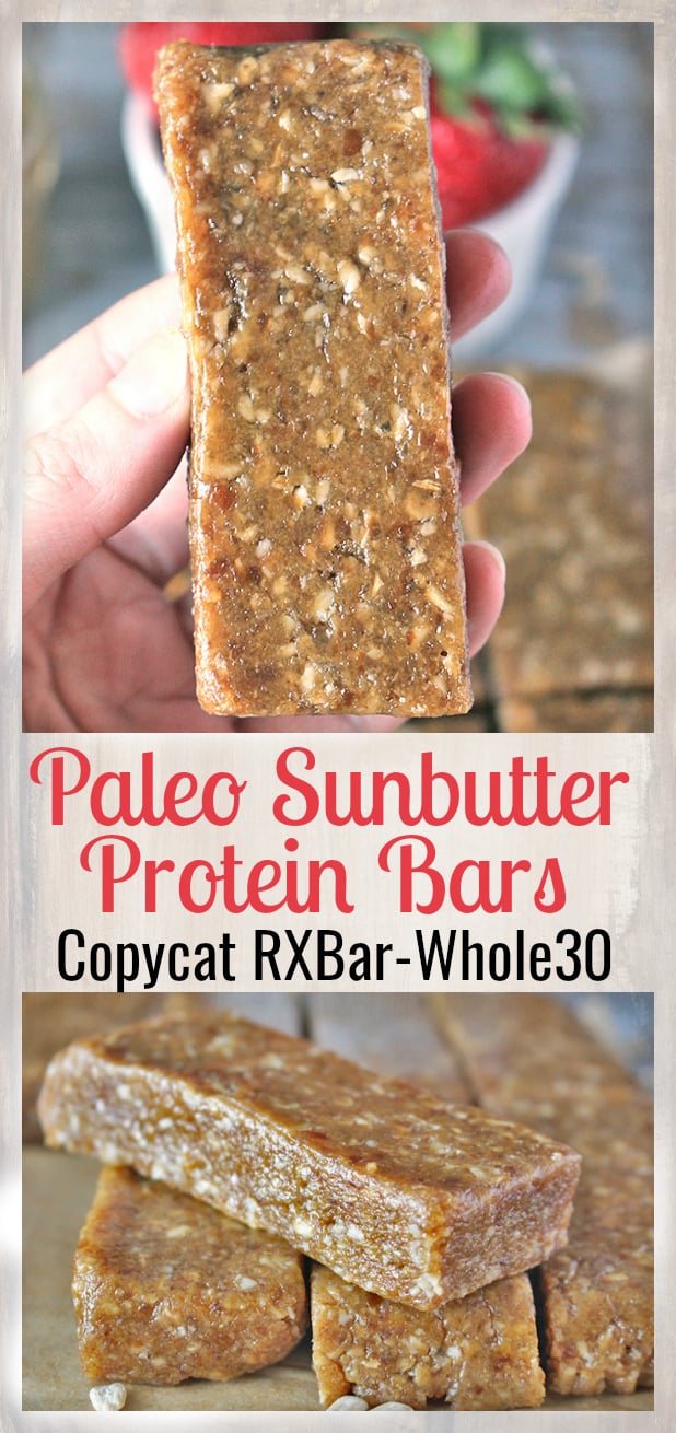 Paleo Sunbutter Protein Bars Copycat Peanut Butter RXbar