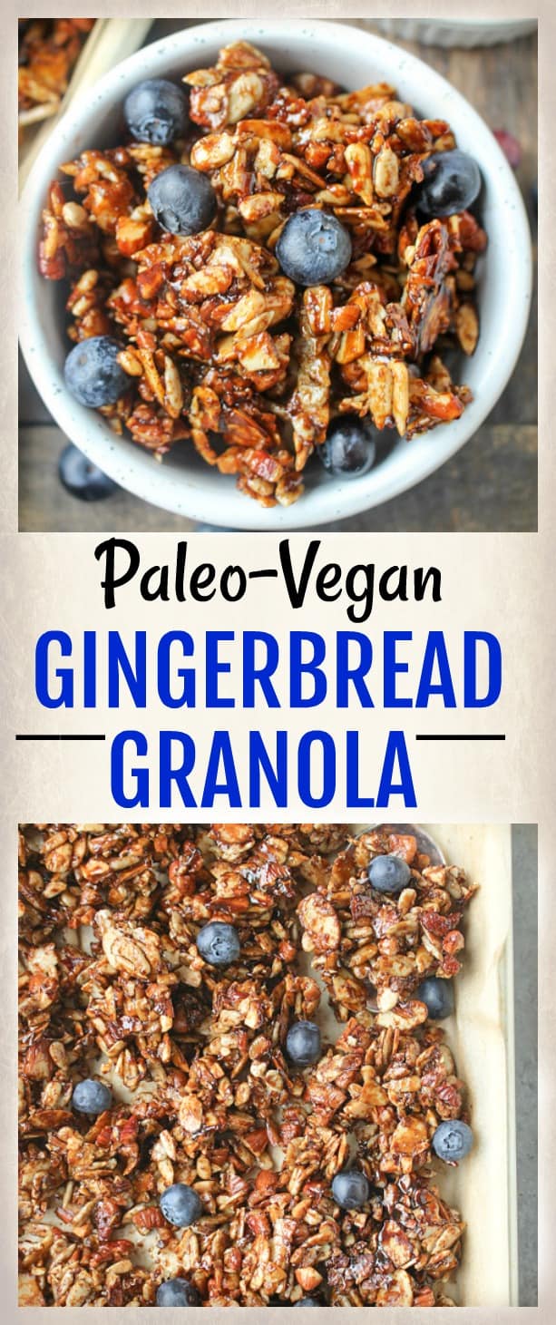 Paleo Gingerbread Granola 