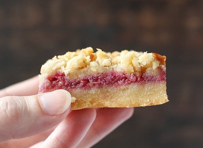 Paleo Raspberry Crumb Bars 