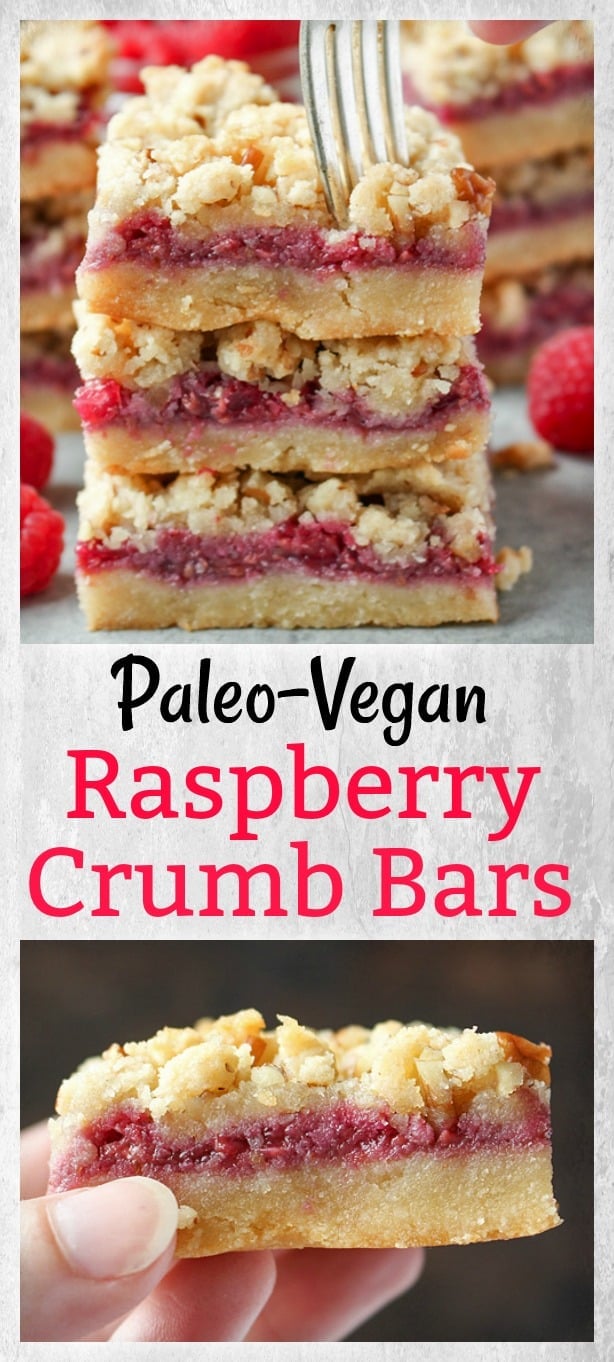 Paleo Raspberry Crumb Bars