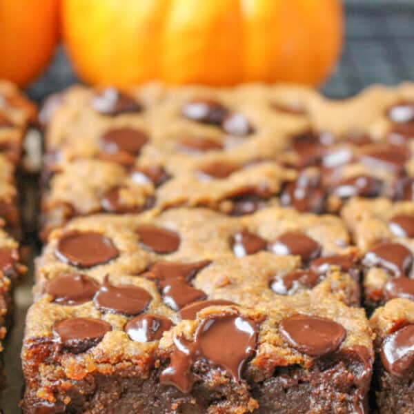 Paleo Pumpkin Chocolate Chip Blondies
