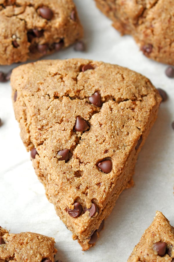 A chocolate chop scones on a white plate. 