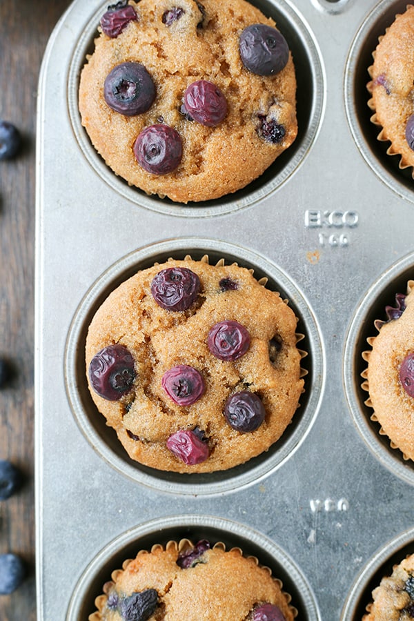 These Easy Paleo Blueberry Muffins are so quick and easy! They are super moist, packed with juicy blueberries, and make a great breakfast. Gluten free, dairy free, and naturally sweetened.