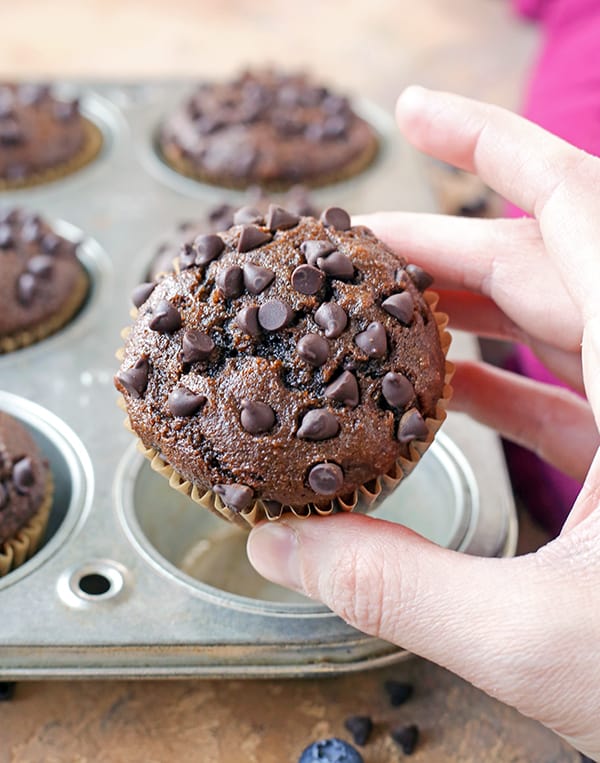 Hand holding a chocolate muffin with the top of the muffin showing with the chocolate chips. 