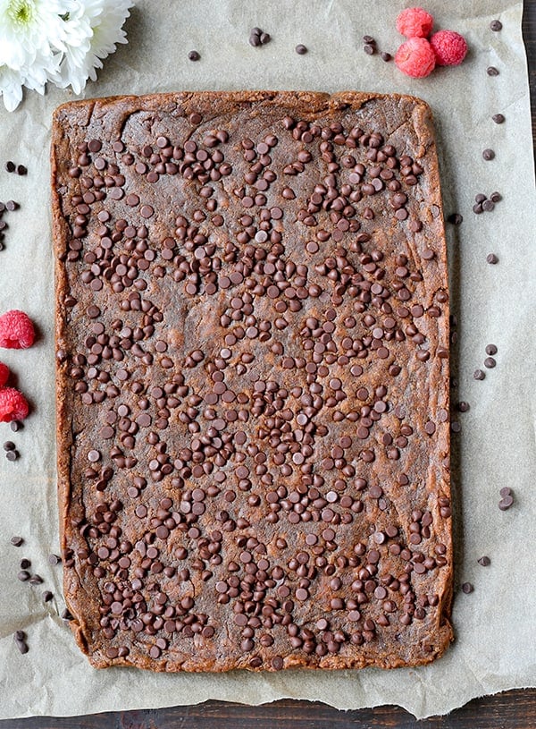 These Paleo Almond Butter Blondies are rich, ultra fudgy, and so delicious! Egg free, vegan, gluten free, dairy free, but no one will be able to tell!
