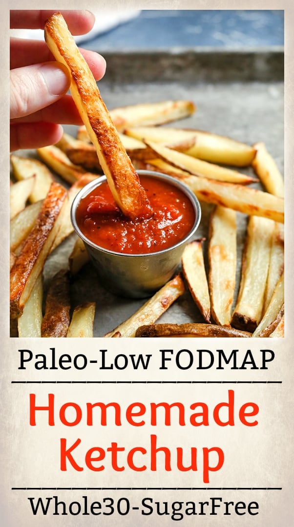 This Paleo Low FODMAP Homemade Ketchup is so simple and delicious! It has only 5 ingredients, and is ready in 20 minutes. Great for dipping or used in recipes. Whole30, sugar free, low carb, and so flavorful.