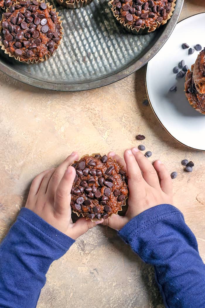 These Paleo Nut-Free Pumpkin Muffins are a simple and healthy treat. They are gluten free, dairy free, and naturally sweetened.