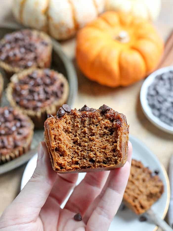 These Paleo Nut-Free Pumpkin Muffins are a simple and healthy treat. They are gluten free, dairy free, and naturally sweetened.