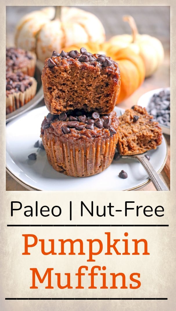 These Paleo Nut-Free Pumpkin Muffins are a simple and healthy treat. They are gluten free, dairy free, and naturally sweetened.