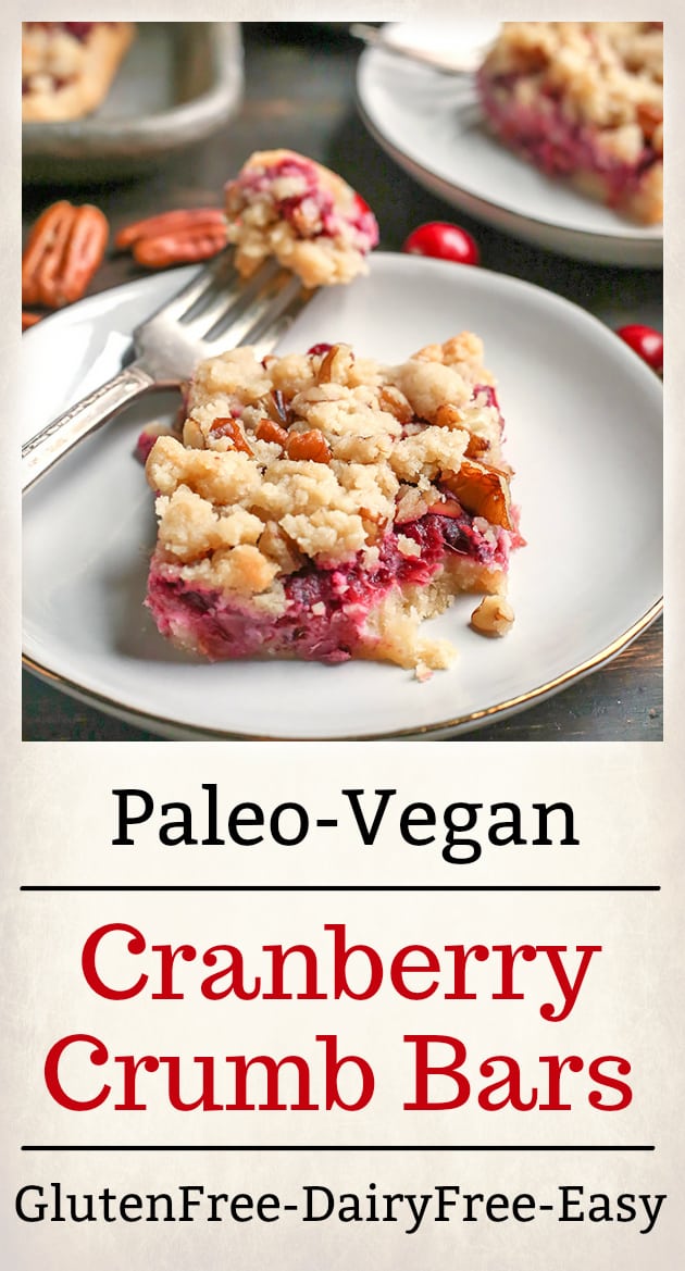 These Paleo Vegan Cranberry Crumb Bars are simple to make and so delicious! A shortbread crust, thick layer of cranberry sauce and then a delicious crumb topping. They are gluten free, dairy free and naturally sweetened.