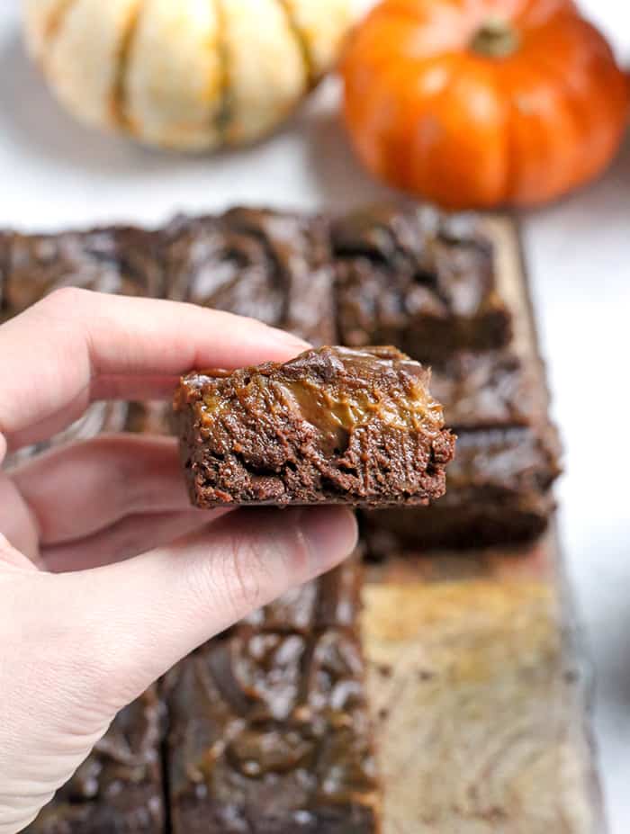 These Paleo Vegan Pumpkin Swirl Brownies are so rich, delicious, and easy to make! They are gluten free, dairy free, egg free, vegan, nut free, and naturally sweetened.