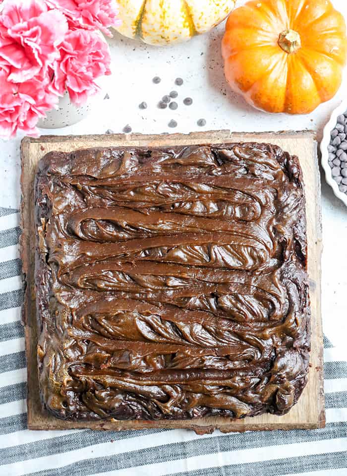 These Paleo Vegan Pumpkin Swirl Brownies are so rich, delicious, and easy to make! They are gluten free, dairy free, egg free, vegan, nut free, and naturally sweetened.