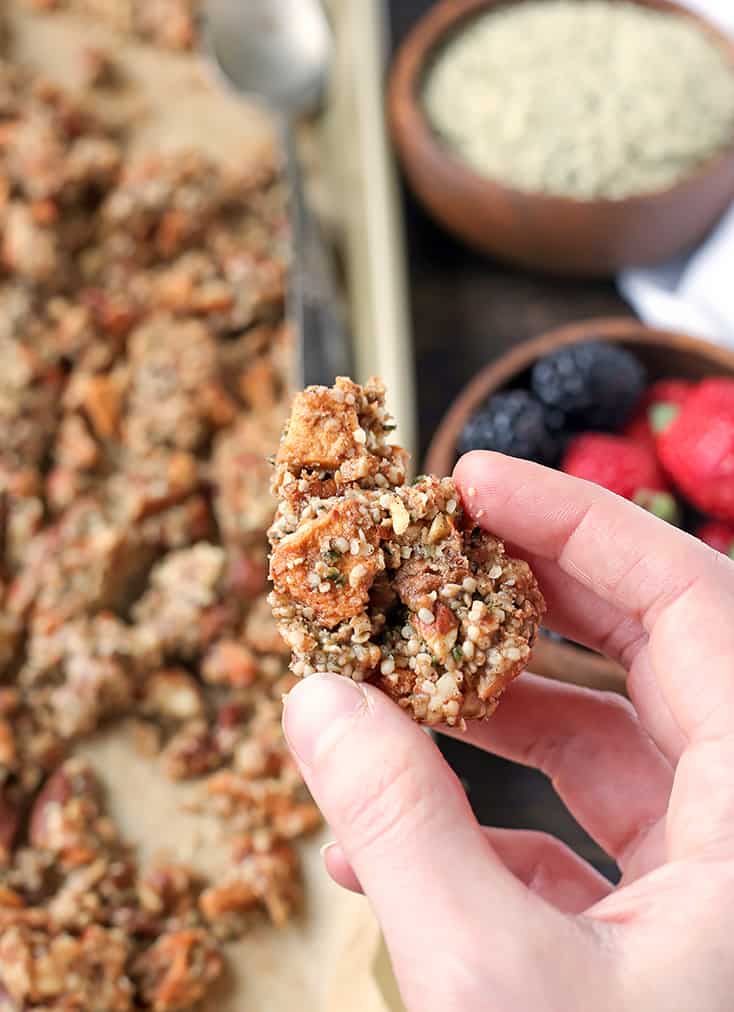 This Paleo Caramel Apple Granola is easy to make and is such a great snack. The sweet cinnamon, chewy apples, and crunchy seeds combine to make a tasty treat. It's gluten free, dairy free, naturally sweetened and vegan.