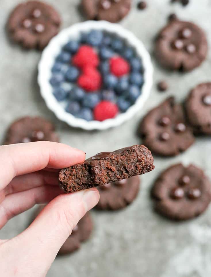 These Paleo Nut-Free Chocolate Brownie Cookies have only 3 ingredients and are so easy to make. They are rich and super chocolatey. Sweetened only with dates and they also are gluten free, dairy free, egg free, and vegan.