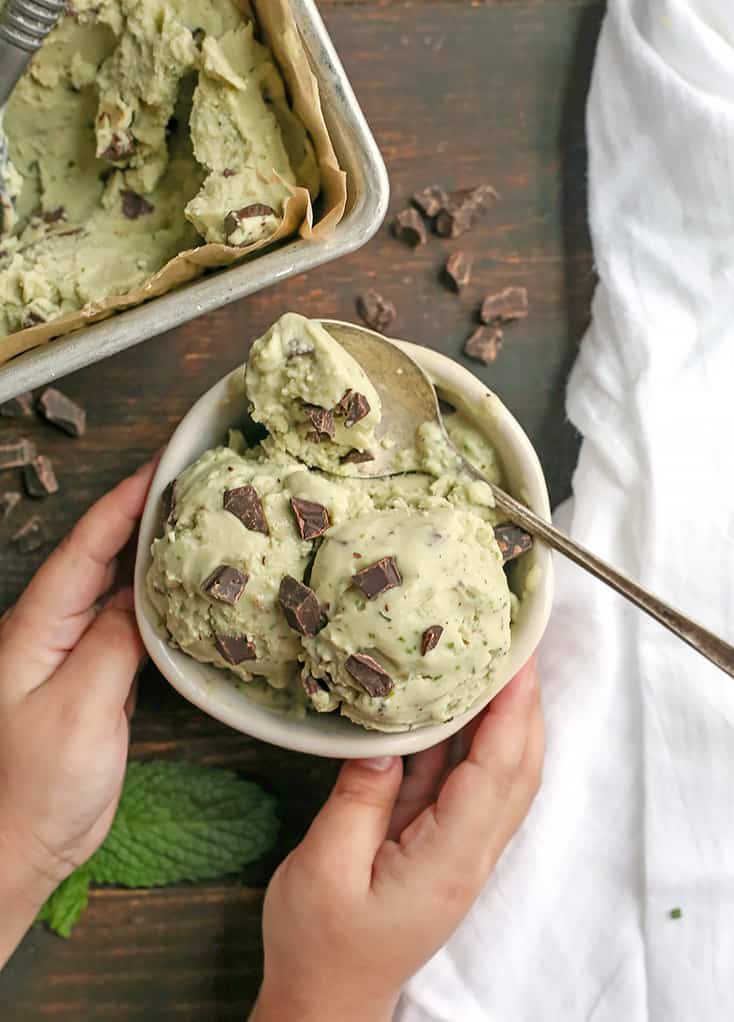 This Paleo Mint Chocolate Chip Ice Cream is easy to make and so delicious! Just 6 simple ingredients, dairy free, egg free, naturally colored and sweetened, and low FODMAP.