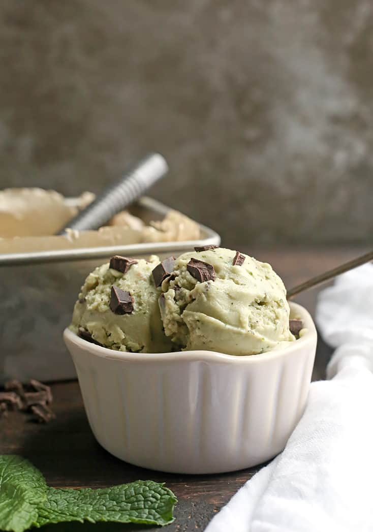 This Paleo Mint Chocolate Chip Ice Cream is easy to make and so delicious! Just 6 simple ingredients, dairy free, egg free, naturally colored and sweetened, and low FODMAP.