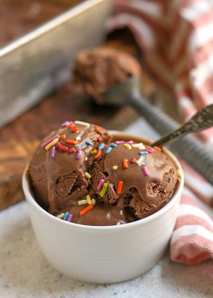 small bowl of vegan chocolate ice cream
