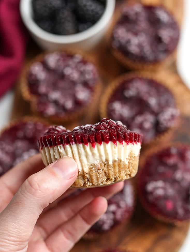 hand holding a goat cheese cheesecake with blackberry topping 